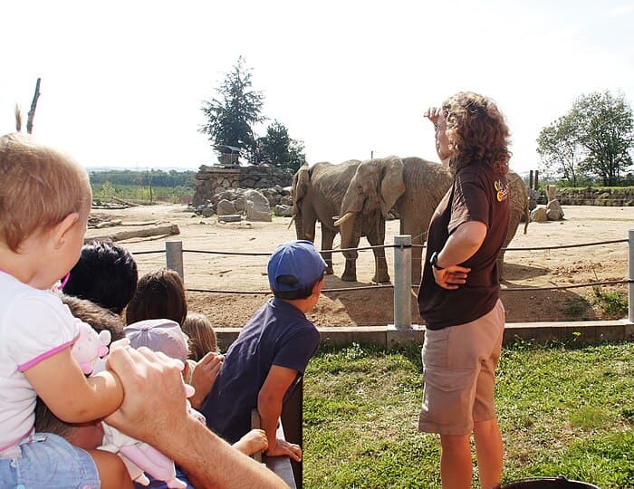 Le Safari de Peaugres : une immersion totale en Afrique