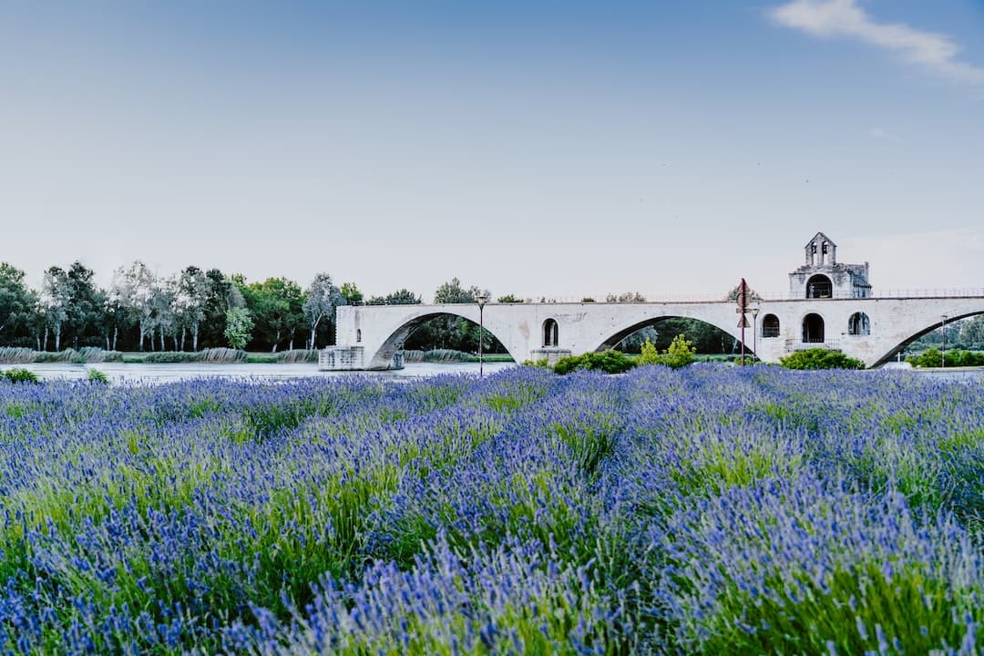 Sur le pont d_Avignon, j_ai dansé, j_ai dansé, j_ai dansé !