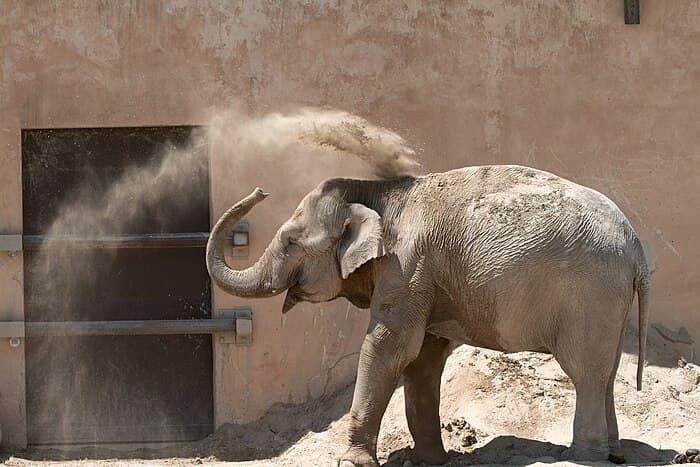 Découvrez le parc animalier de la Barben : une expérience familiale inoubliable