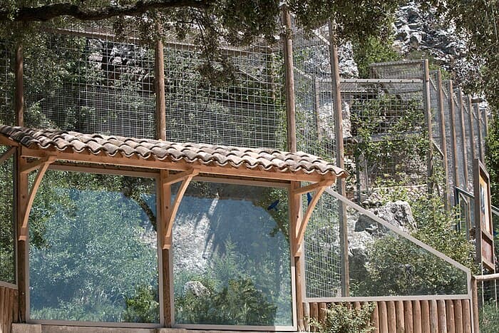 La conservation au cœur du parc animalier de la Barben