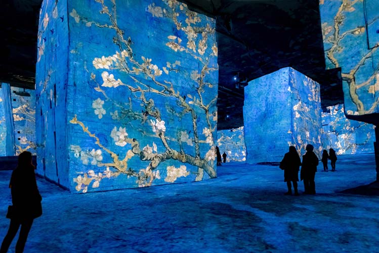 Visite aux Carrières de Lumières : toutes les informations pratiques