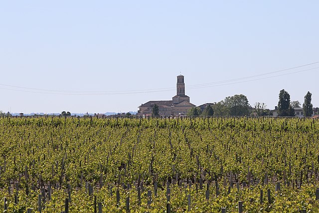 Le Médoc - l_épicentre de l_excellence vinicole