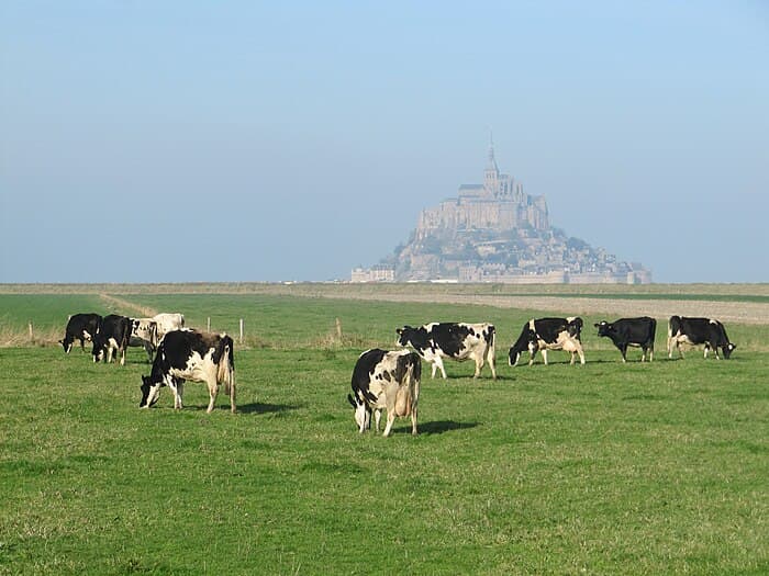 Patrimoine et traditions au Mont Saint-Michel : un héritage culturel vivant